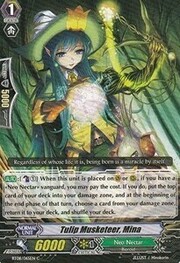 Tulip Musketeer, Mina [G Format]