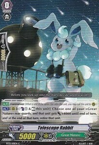 Telescope Rabbit Card Front