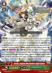 White Lily Musketeer Captain, Cecilia