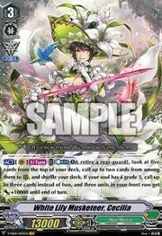 White Lily Musketeer, Cecilia [V Format]