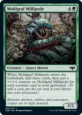 Moldgraf Millipede Card Front