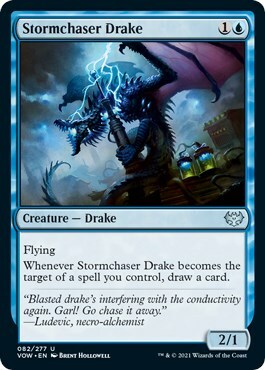 Stormchaser Drake Card Front