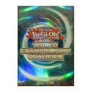 15 Fundas WCQ 2017