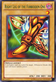 Right Leg of the Forbidden One