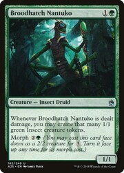 Broodhatch Nantuko