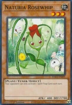 Naturia Rosewhip Card Front