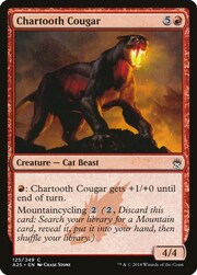 Chartooth Cougar