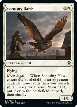 Scouting Hawk Card Front