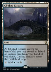 Choked Estuary