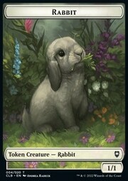 Rabbit