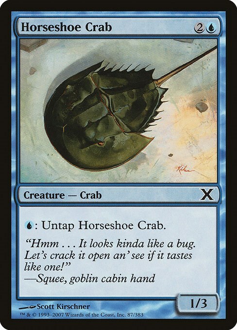 Horseshoe Crab Card Front