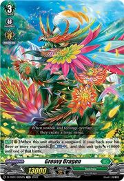 Groovy Dragon [D Format]