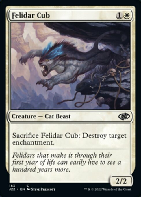 Felidar Cub Card Front