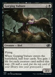 Gorging Vulture