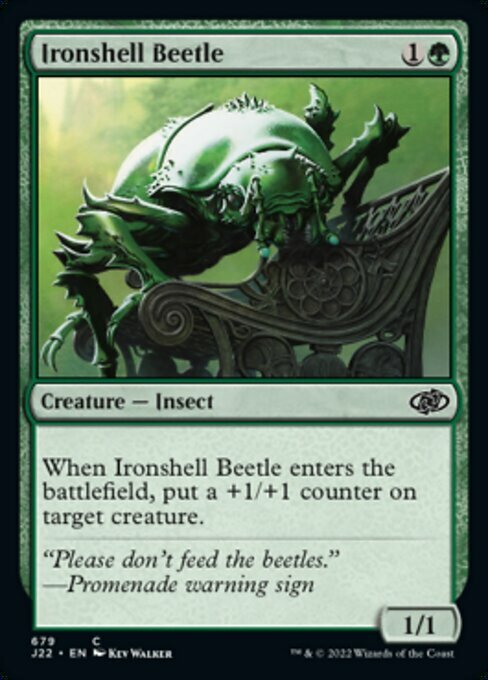 Ironshell Beetle Card Front