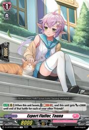 Expert Fluffer, Teuna [D Format]