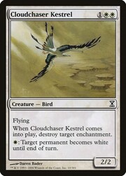 Cloudchaser Kestrel