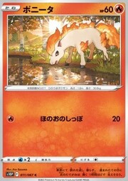 Ponyta