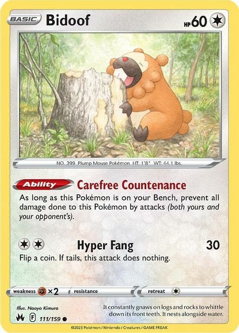 Bidoof Card Front