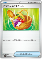 Picnic Basket