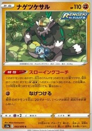 Passimian