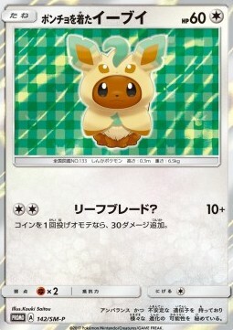 Poncho-wearing Eevee Card Front