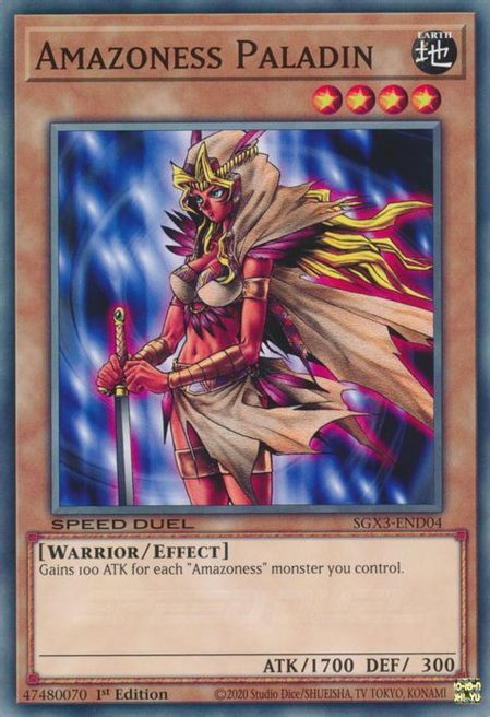 Amazone Paladin Card Front