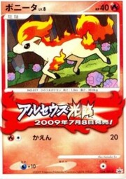 Ponyta Lv.8