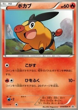 Tepig Card Front