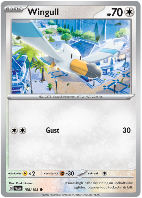 Wingull Card Front