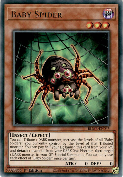 Baby Spider Card Front