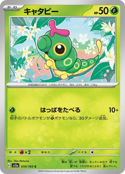 Caterpie Card Front