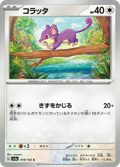 Rattata Card Front