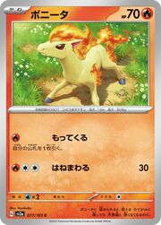 Ponyta