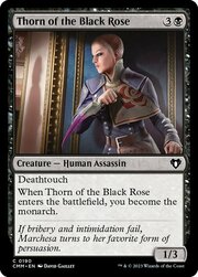 Thorn of the Black Rose