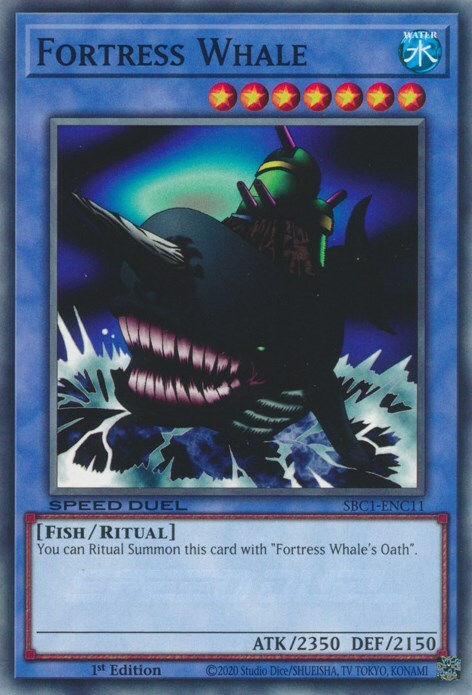 Fortress Whale Card Front