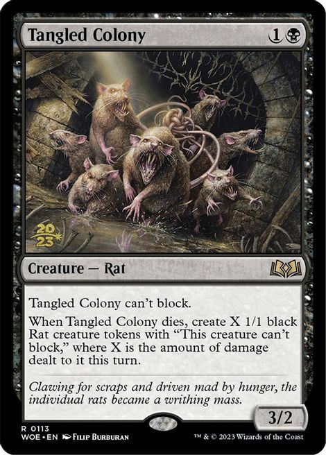 Tangled Colony Card Front