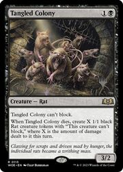 Tangled Colony