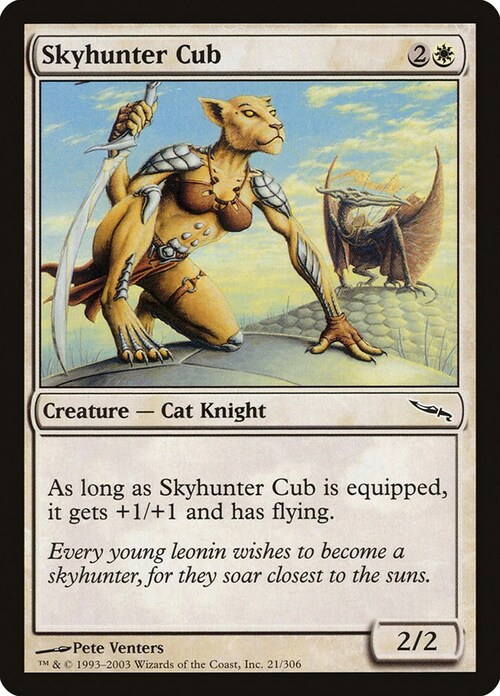 Skyhunter Cub Card Front