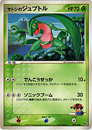 Ash's Grovyle