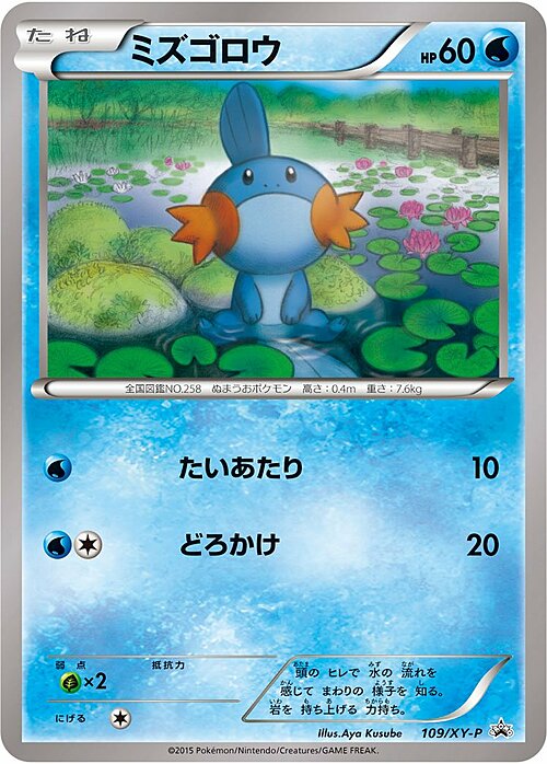 Mudkip Card Front