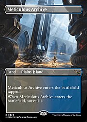 Meticulous Archive