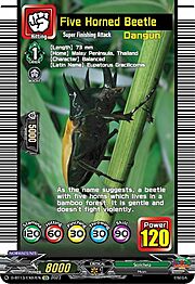 Five Horned Beetle