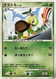 Turtwig Lv.10