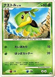 Turtwig Lv.10