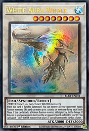 White Aura Whale