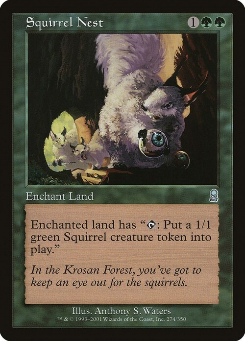 Squirrel Nest Card Front