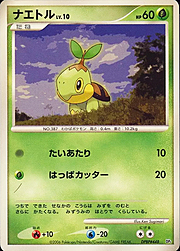 Turtwig Lv.10