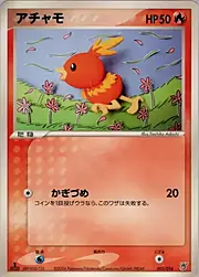 Torchic