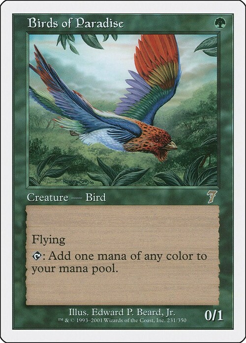 Birds of Paradise Card Front